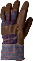 A1005_don_winter.jpg