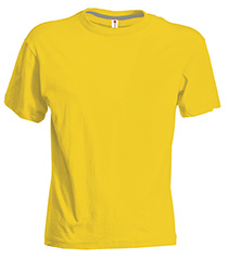 PAYPER® SUNSET pánské triko s krátkým rukávem - 760_01000_l.jpg