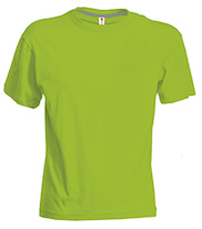 1190_07007_l_acid, green.jpg