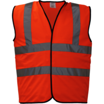 lynx_esd_orange_03030143.png
