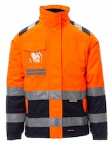 HISPEED_LADY_oranžová.jpg
